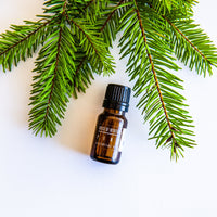 Pine Needle Essential Oil Incense & Holders -Essential Oil V50