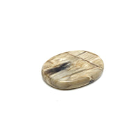 Petrified Wood Medallions Petrified Wood Crystals
