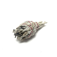 Abalone Shell & Mini Sage Smudge Bundles House of Intuition