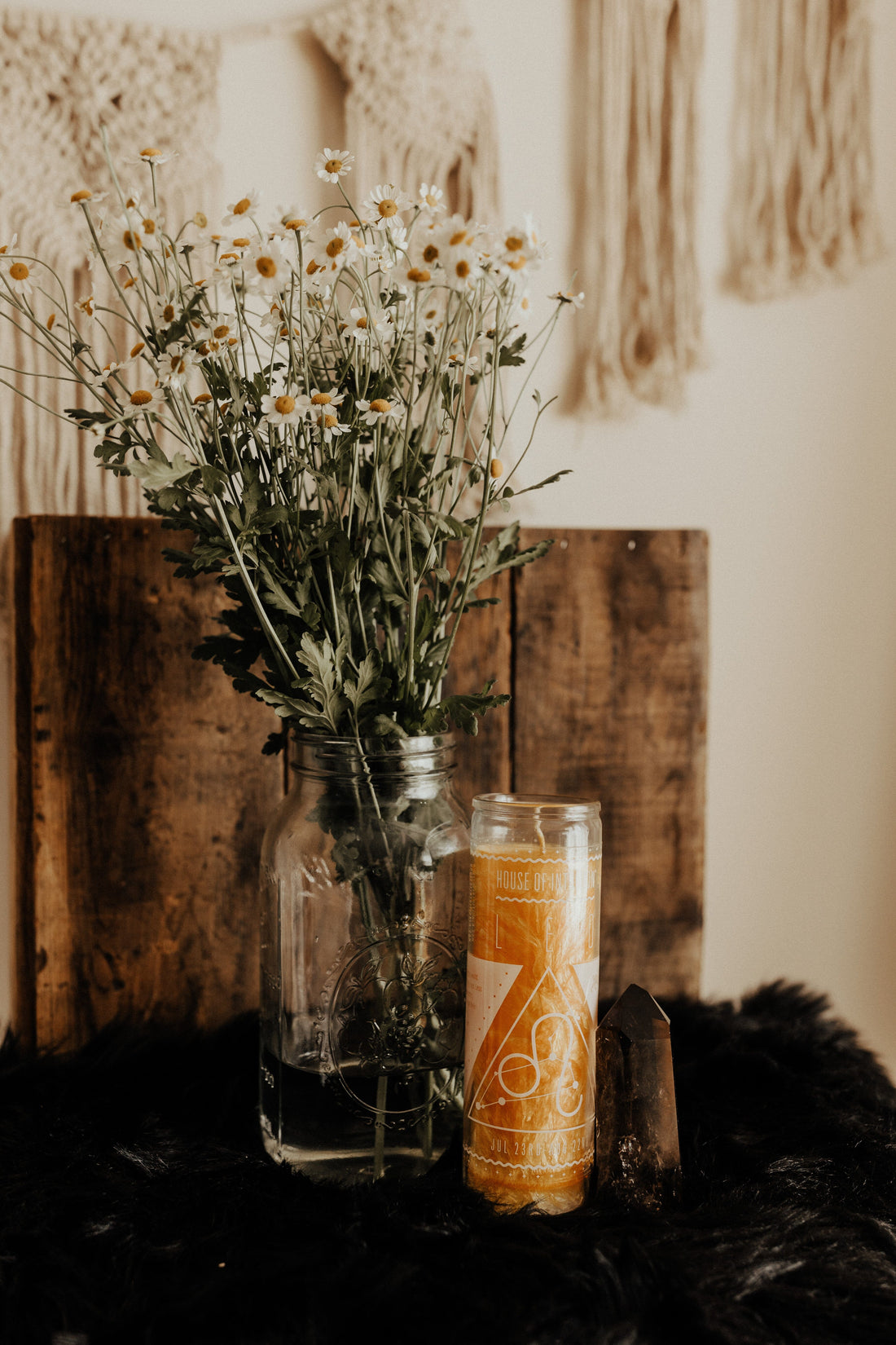 HOI Leo Zodiac Candle Candle -Zodiac V50 