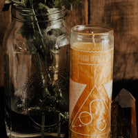 HOI Leo Zodiac Candle Candle -Zodiac V50 