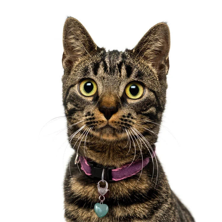 Pet Charm - "Healing" Charms & Pendants -Pet Whse 