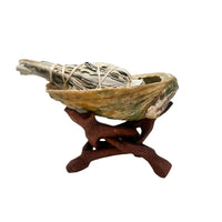 Abalone Shell Holder House of Intuition Inc 