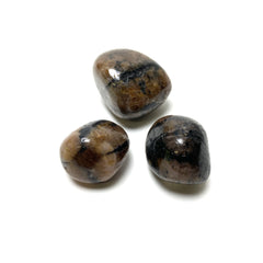 Chiastolite Tumbles Chiastolite Crystals A. $10.00 