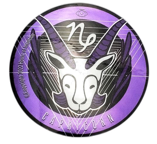 HOI Holographic Capricorn Sticker Paintings & Art Pieces House of Intuition 