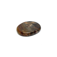 Petrified Wood Medallions Petrified Wood Crystals 