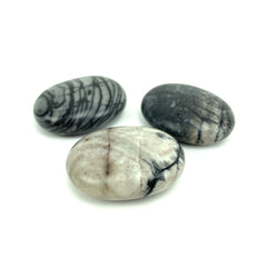 Picasso Jasper Pillow Stones Picasso Jasper Crystals A. $14.00 