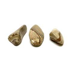 Picture Jasper Tumbles Picture Jasper Crystals A. $5.00 